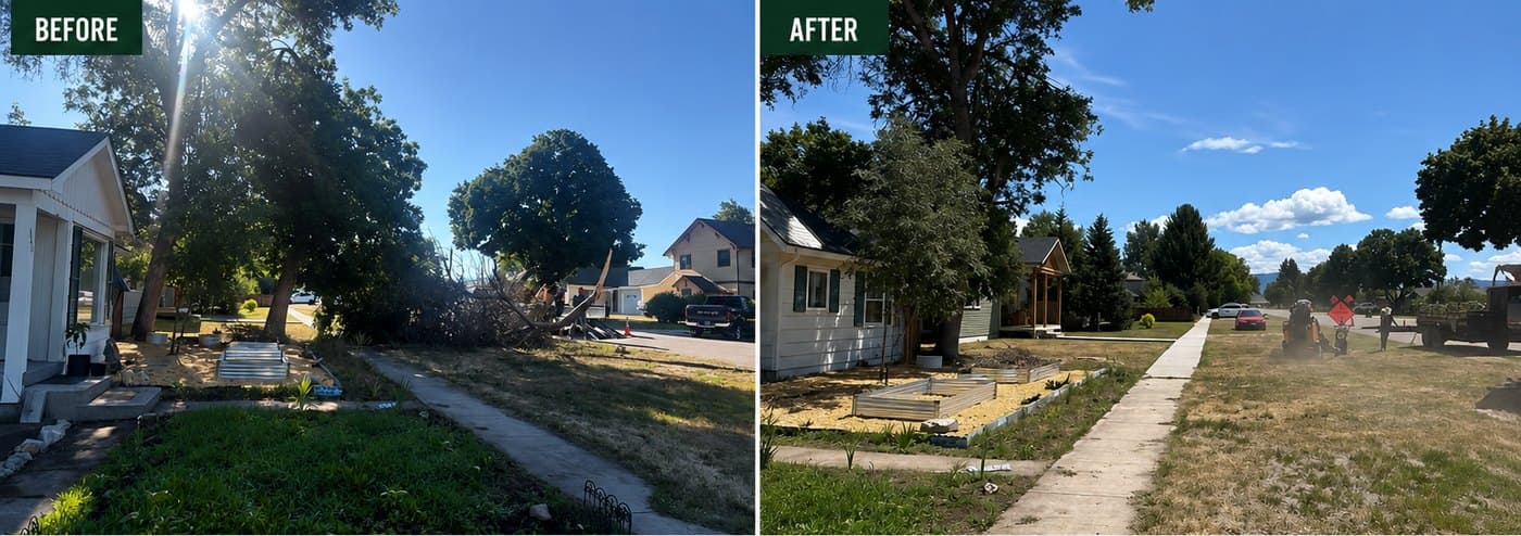 HJ Property Care clearing a hazardous tree in the Bitterroot Valley